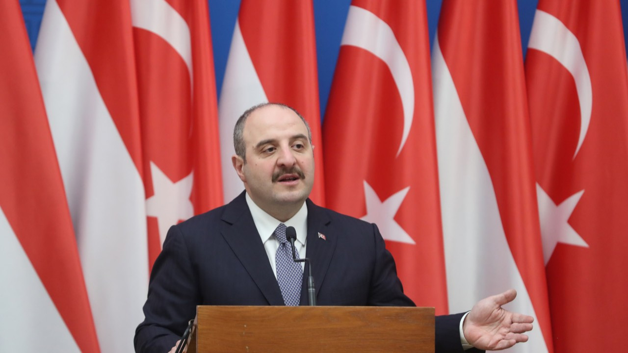 Bakan Varank’tan Macarlara sürpriz teklif