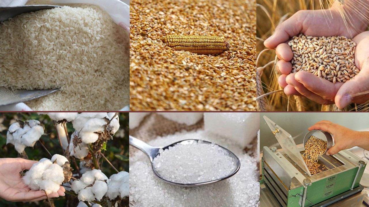 Hububat ve bakliyat sektöründen 216 ülkeye ihracat