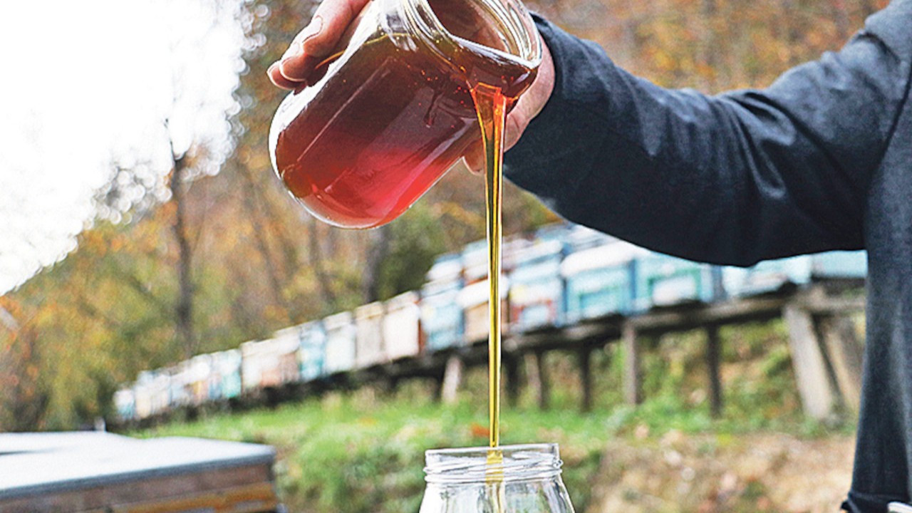 İklim değişikliği balda rekolteyi etkiledi