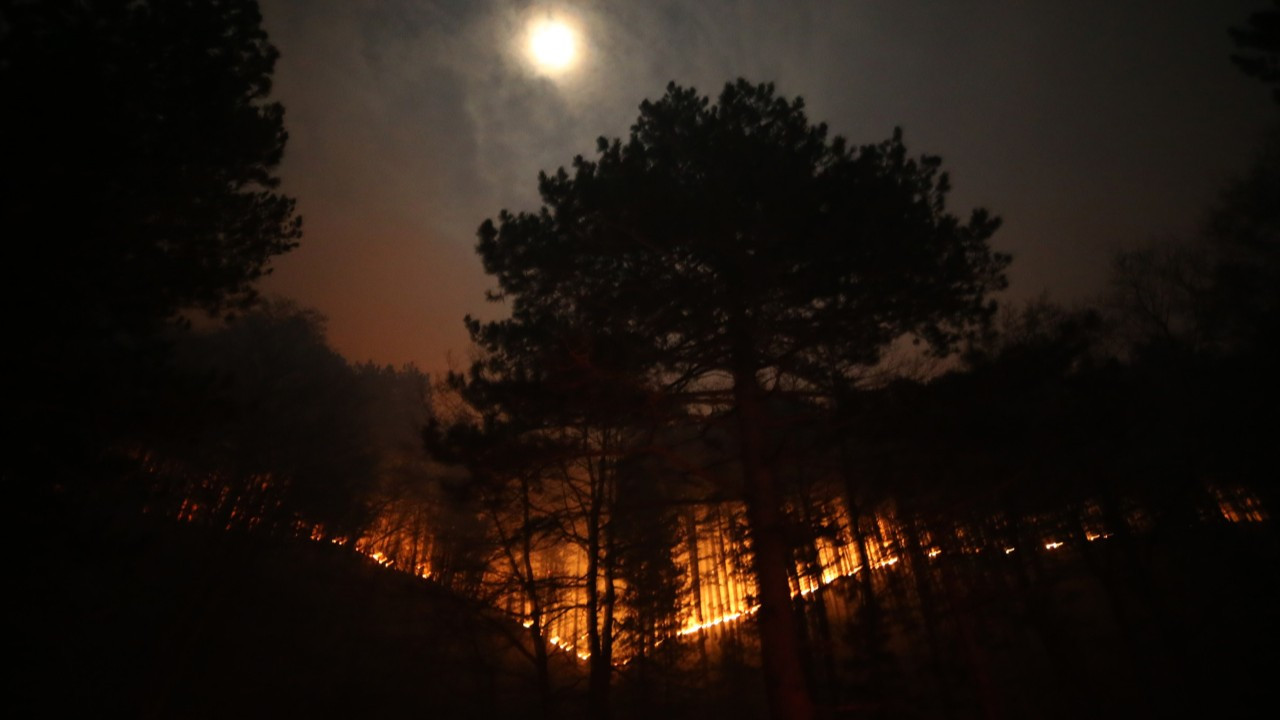 Kaz dağları yanıyor