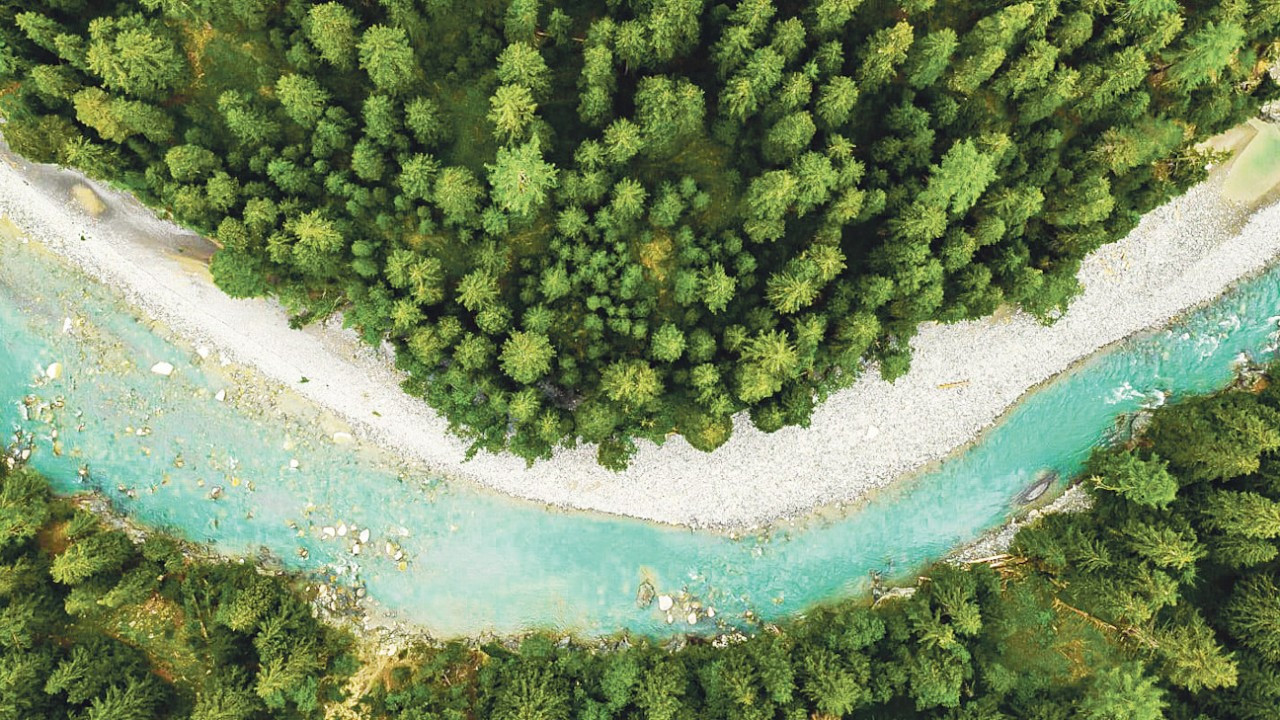 L’oreal Grup’tan 35 bin Euro hibe