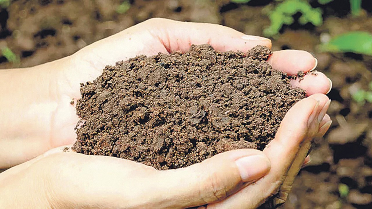 Organik atığın kompost ve hayvan mamasına dönüşüm hikâyesi: Procompo