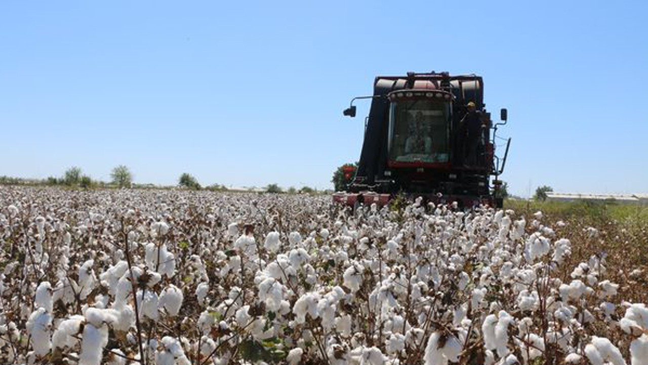TÜRİB ELÜS Piyasası’ndan bir yılda 67 milyar liralık işlem hacmi