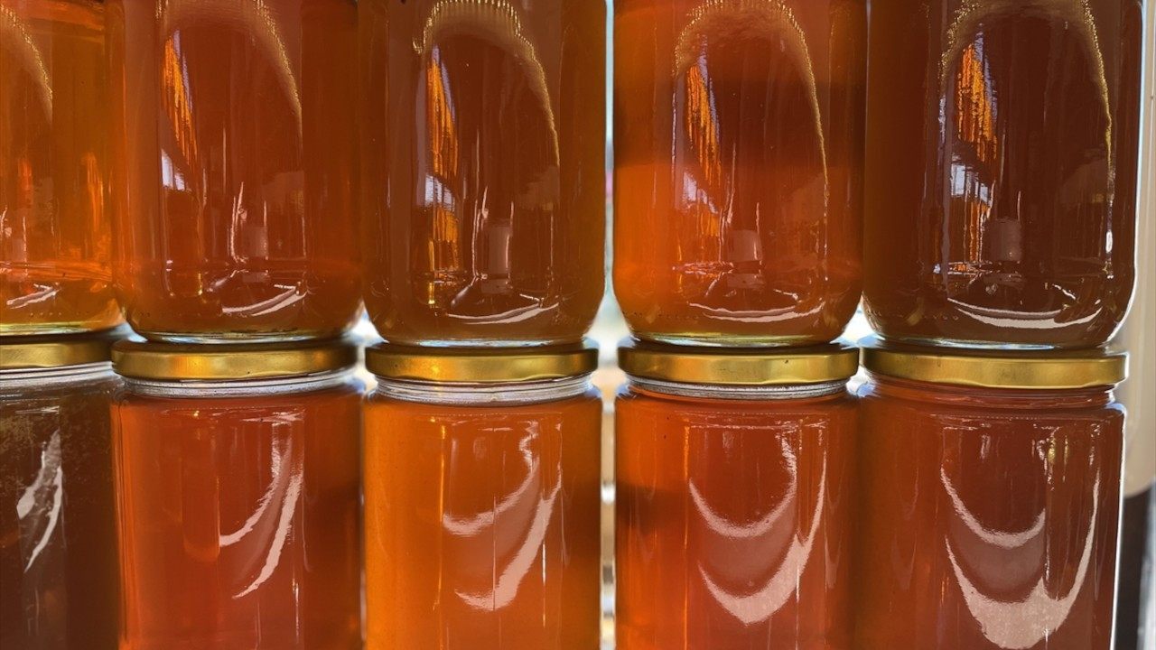 Türk balı 59 ülkenin sofrasında yer buldu