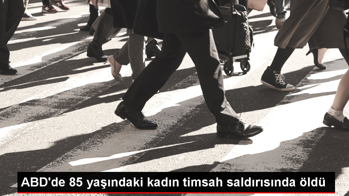 ABD’de 85 yaşındaki kadın timsah saldırısında öldü