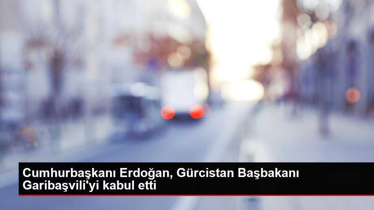 Cumhurbaşkanı Erdoğan, Gürcistan Başbakanı Garibaşvili’yi kabul etti