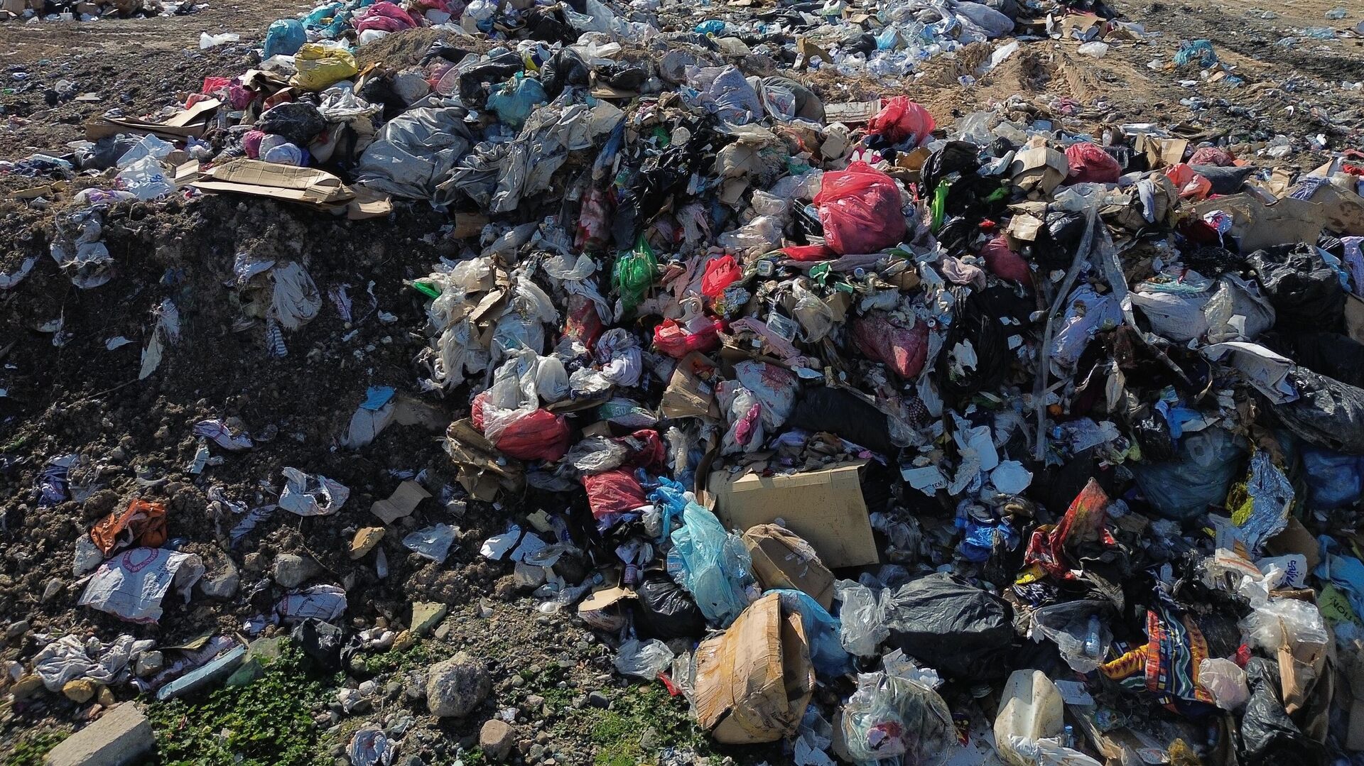 Enkazdan çıkan moloz, kuş cennetine dökülmüştü: Bakanlık devreye girdi