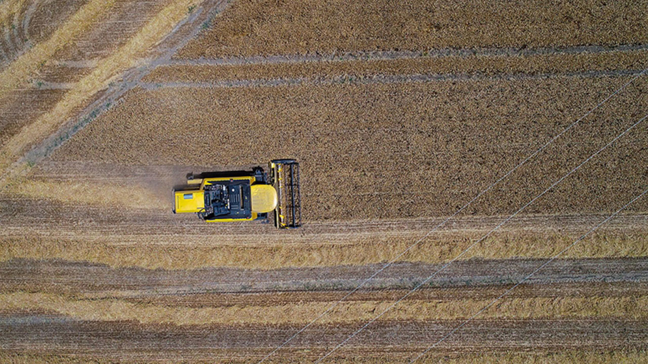 FAO: Depremzede çiftçiye 25 milyon dolar lazım