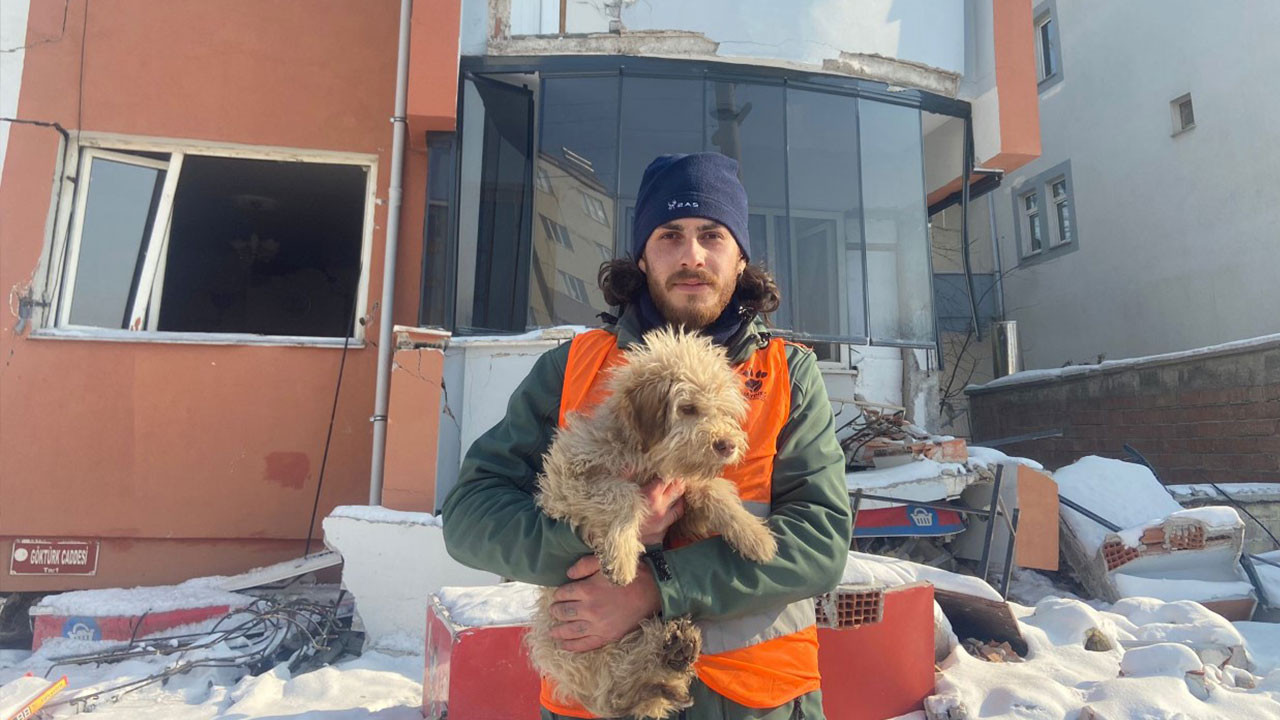 HAYDİKO’dan deprem bölgesindeki hayvanlar için yardım kampanyası