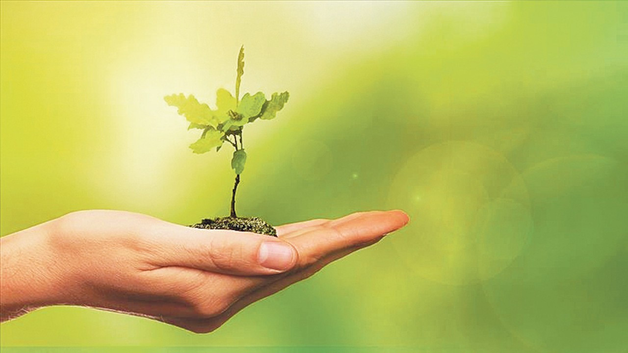 CK Enerji’den Yemeksepeti’ne “Yeşil Enerji Sertifikası”