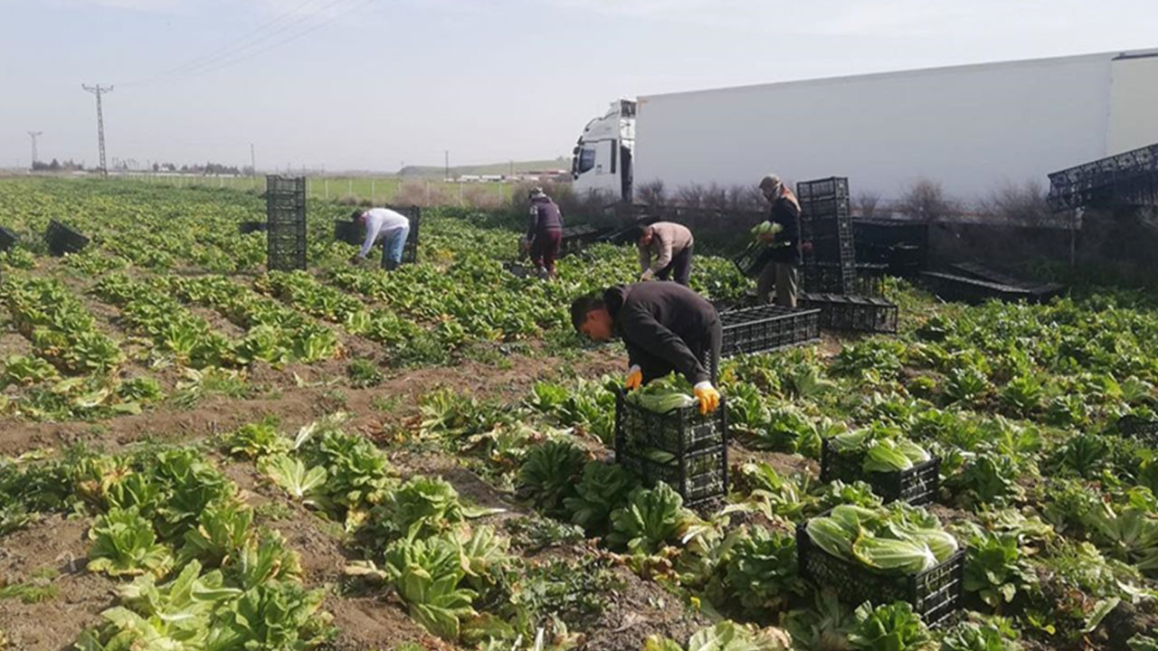 Deprem bölgesindeki kadın üreticilere markalaşma, entegre pazarlama iletişimi ve satış desteği