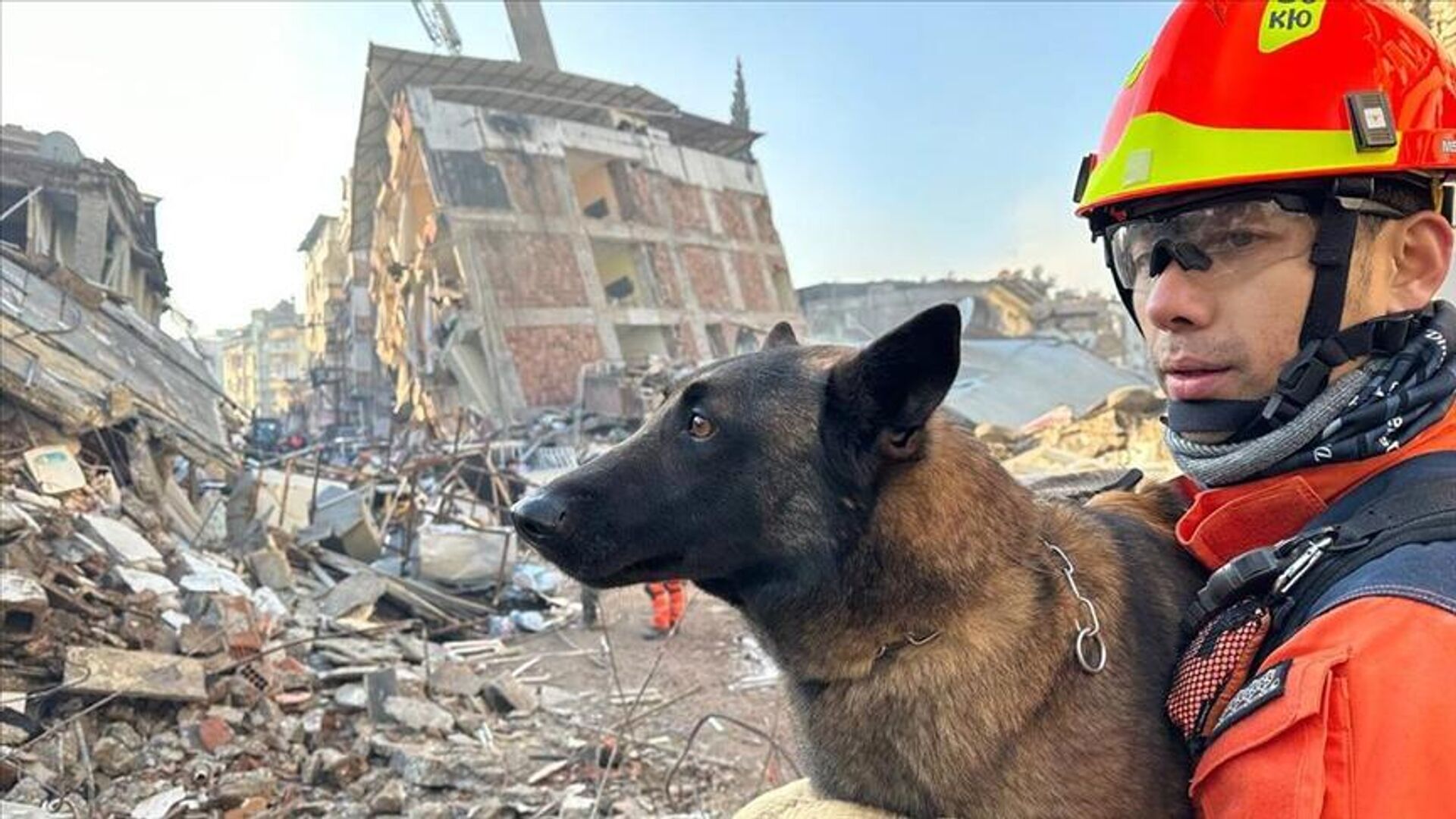 Deprem ülkesi Türkiye’nin arama kurtarma köpeği sayısı yeterli mi?