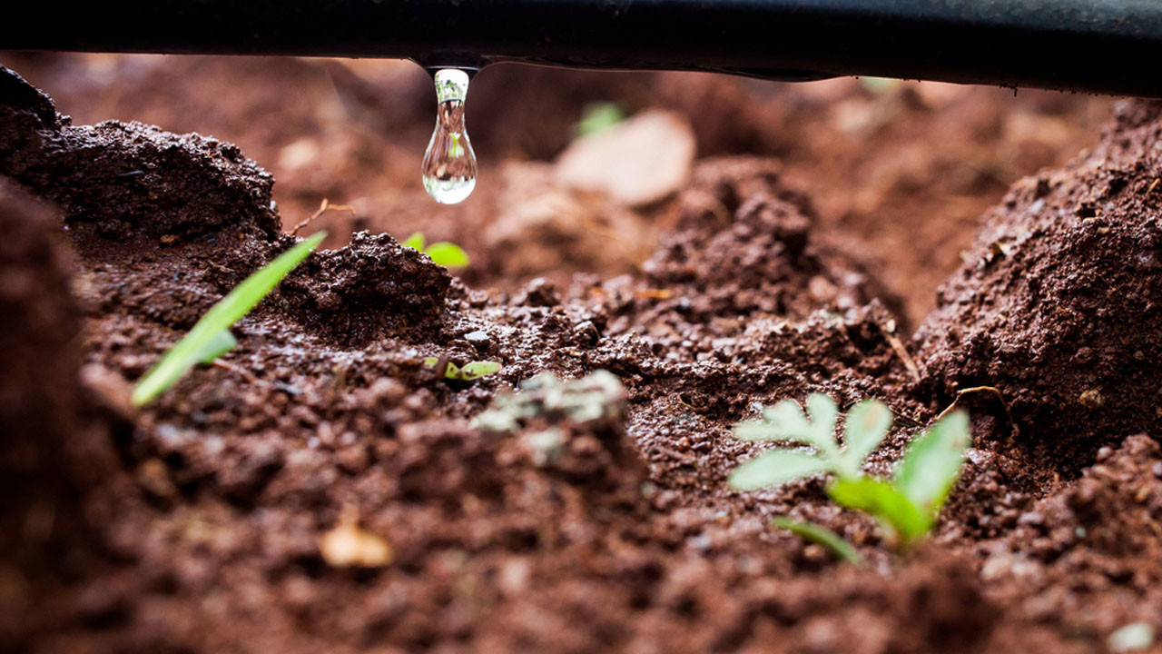 Dijital otomasyon ile tarım ayağa kalkar