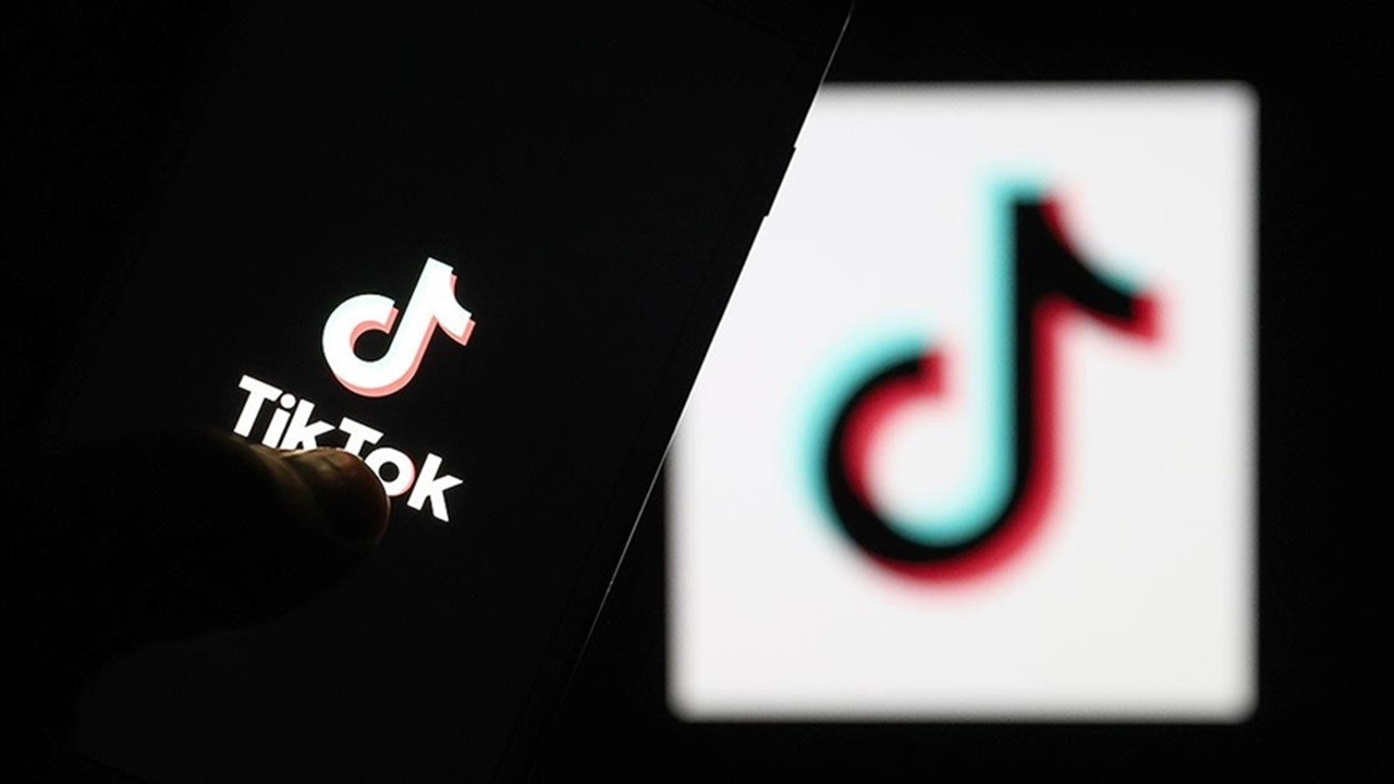 Hollanda’da memurlara TikTok’u silin emri