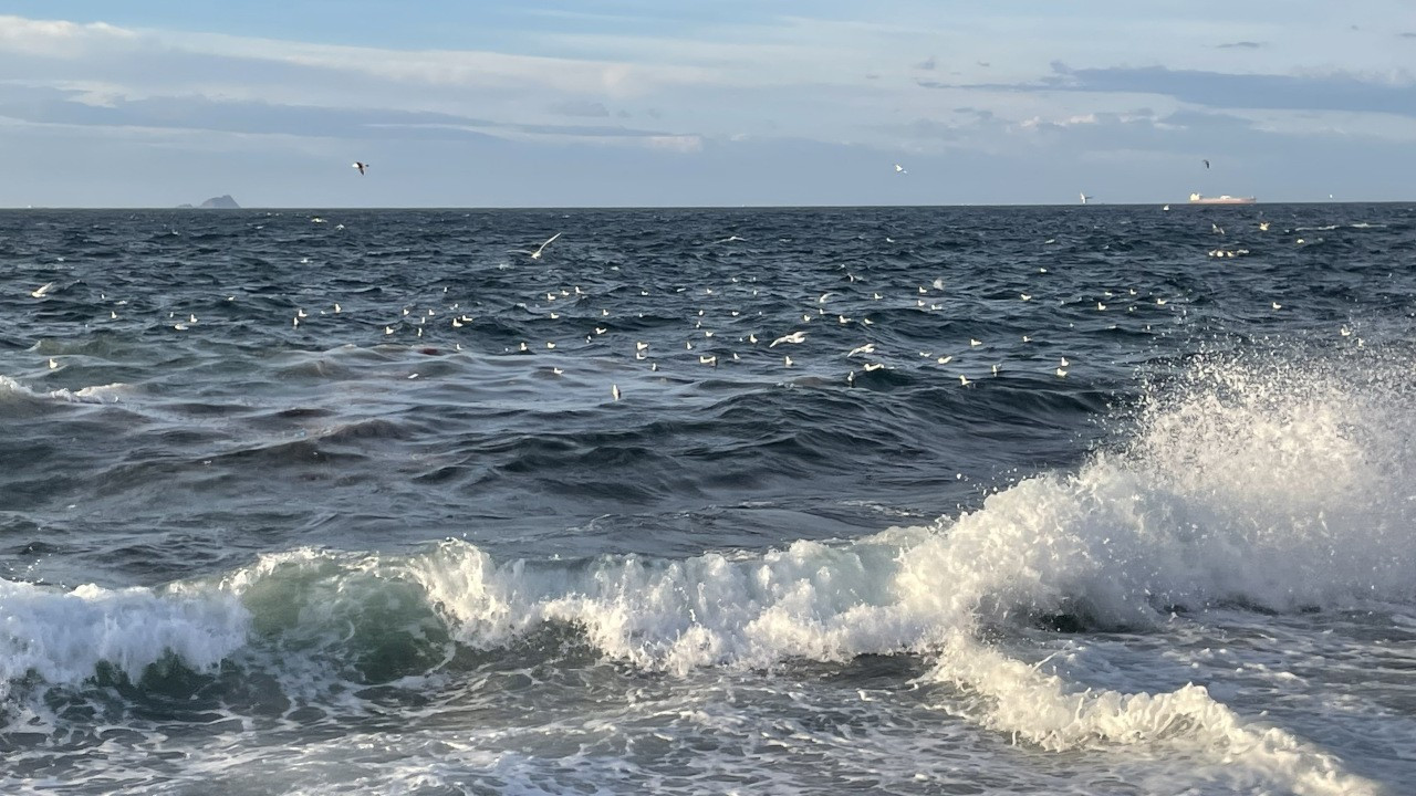 İstanbul’da vapur seferlerine lodos engeli