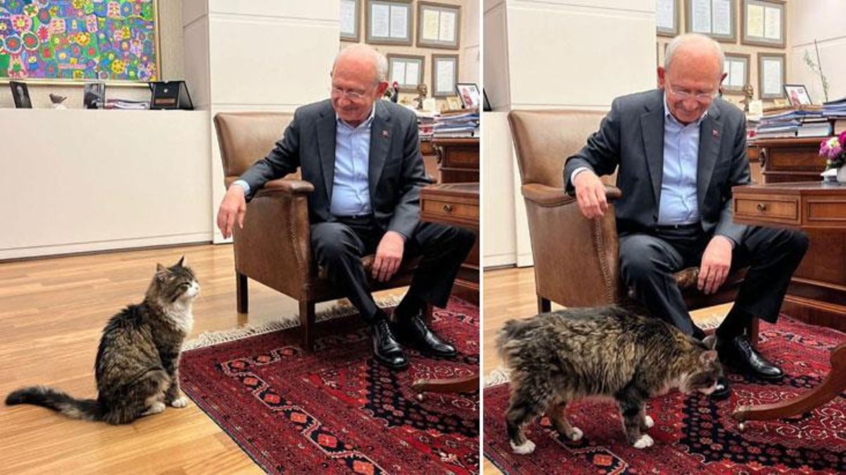 Kılıçdaroğlu Şero’ya söz verdi: İktidara gelince yaş mamayı lüks olmaktan çıkaracağım