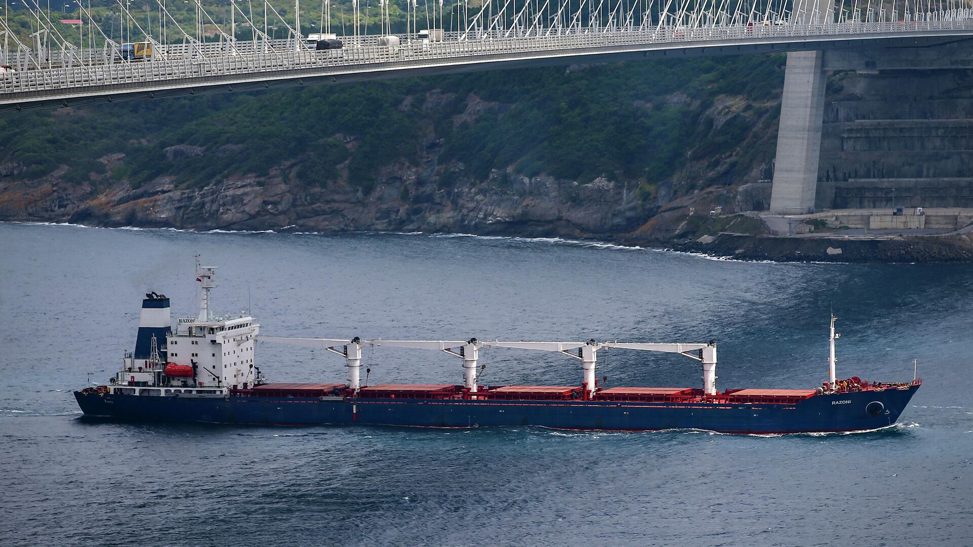 Rusya’dan oyalamalara karşı ültimatom: Tahıl anlaşması uzatılacak mı?