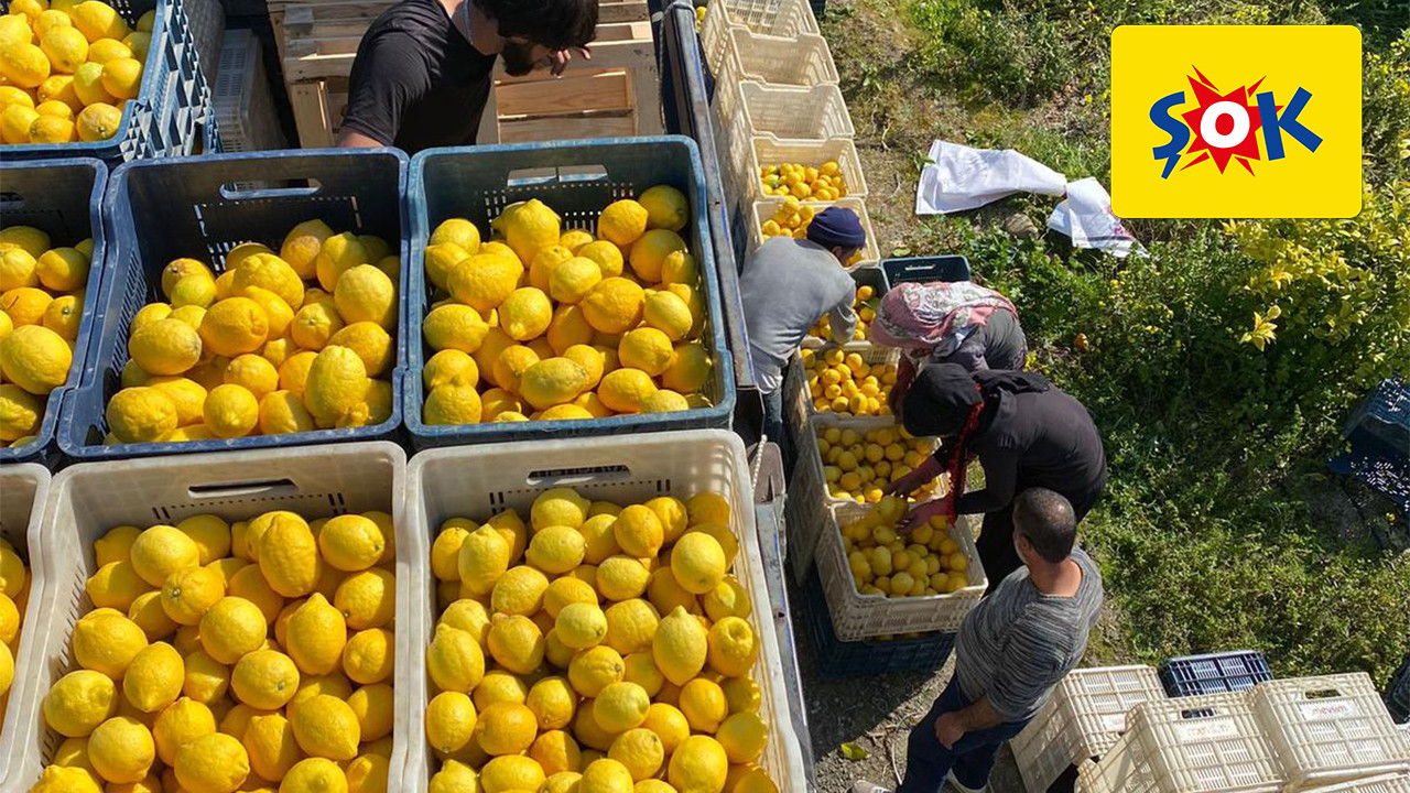 Şok Marketler’den tarıma ve çiftçiye destek