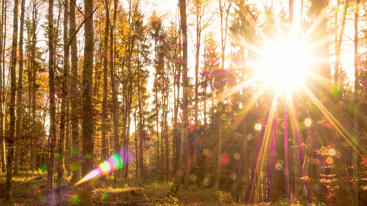 Sürdürülebilir çözümlerle yüzde 70 enerji verimliliği