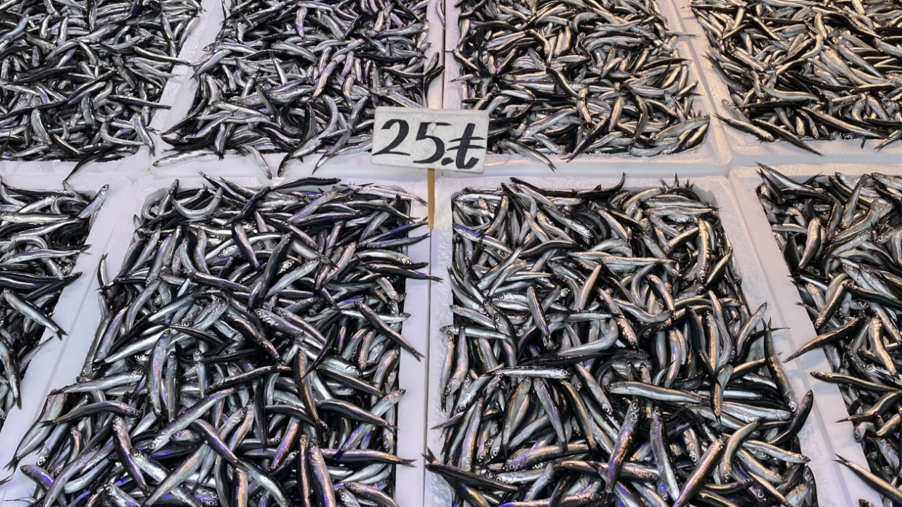 Türkiye hamsi ihracatından 1,5 milyon dolar kazandı