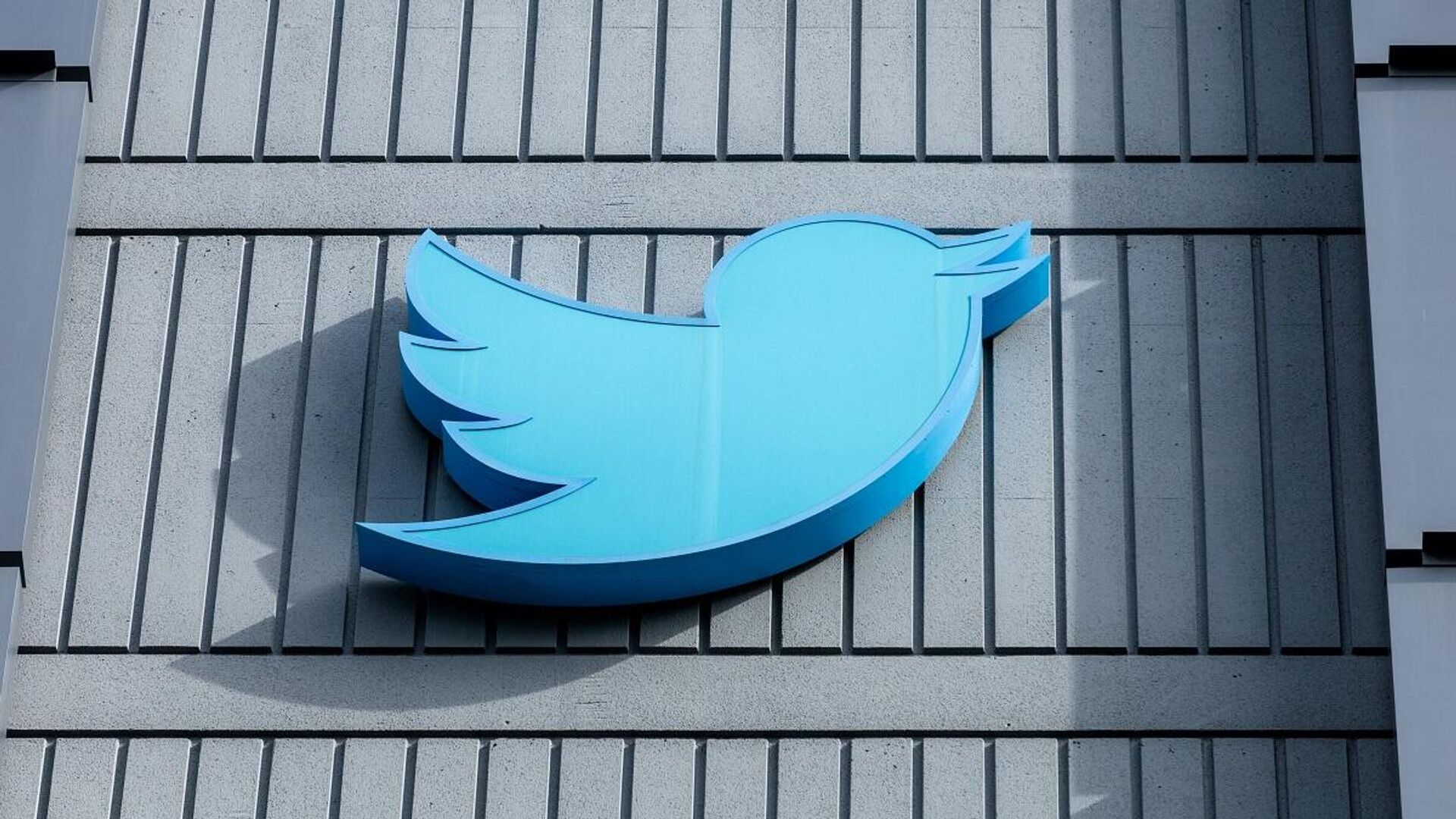 Twitter Dosyaları ifşaatlarını yayınlayan gazeteciler ABD Kongresi’nde savunma yaptı
