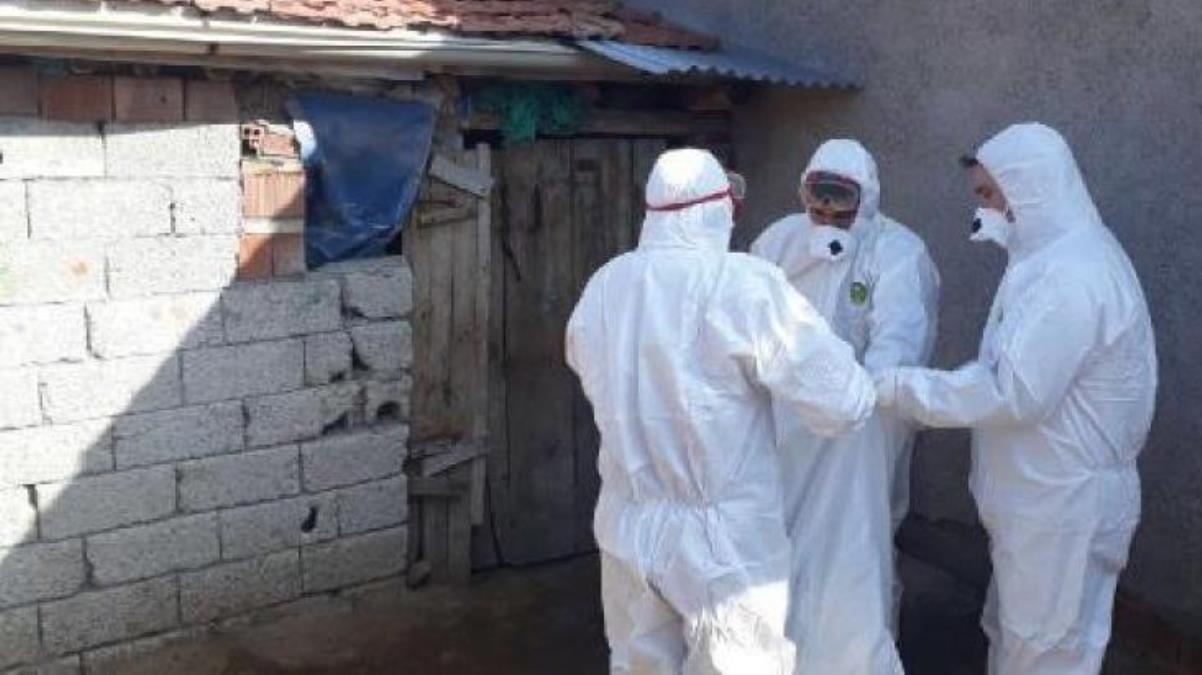 Vahim iddia! Afyonkarahisar ve Denizli’de kuş gribi nedeniyle 6.5 milyon kanatlı hayvan itlaf edildi