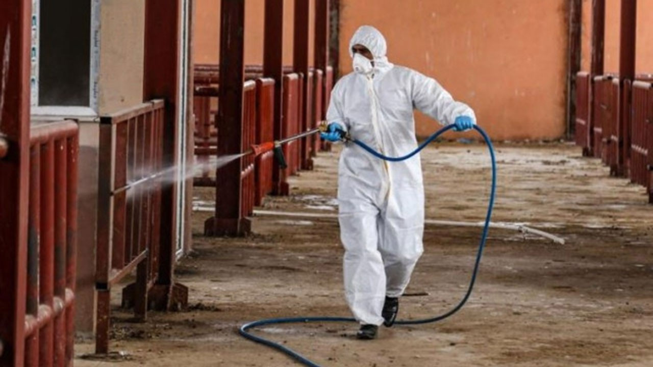 Zonguldak’ta şap alarmı! 215 köy karantinaya alındı